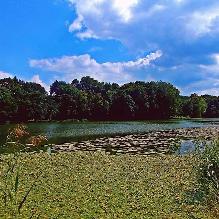Domek De Janauis I Jeziorko *