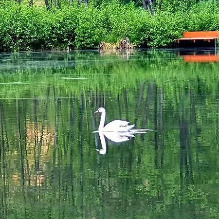Domek De Janauis I Jeziorko Campeggio *