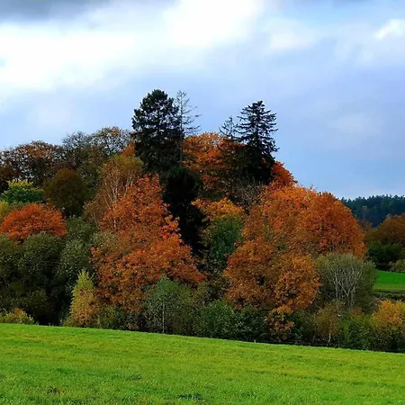 Campsite Kaszubski Raj *