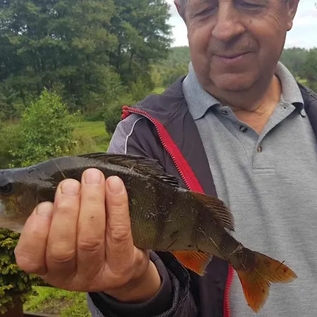 Domek De Janauis I Jeziorko Campeggio