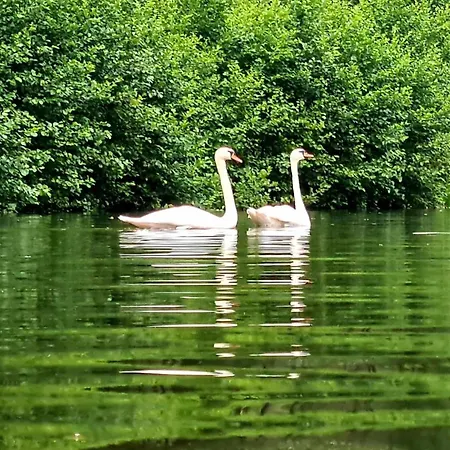 Campeggio Domek De Janauis I Jeziorko