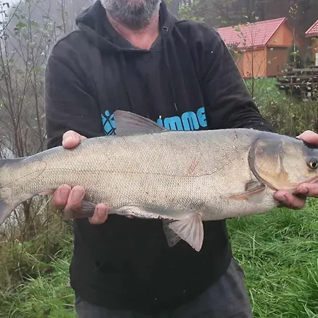 Campeggio Domek De Janauis I Jeziorko Koscierzyna