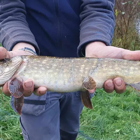 Domek De Janauis I Jeziorko Koscierzyna