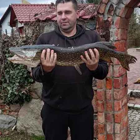 De Janauis I Jeziorko Kemp