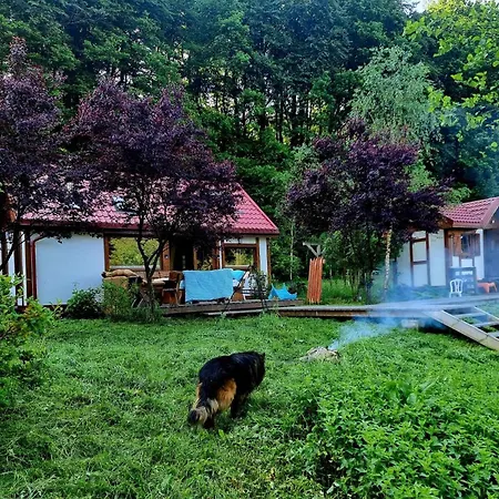 Campsite Kaszubski Raj *