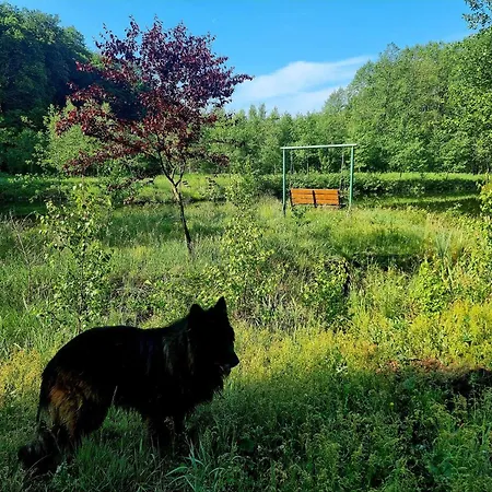 Domek De Janauis I Jeziorko * Koscierzyna